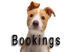 Bookings Page Bear Lake Kountry Kennels